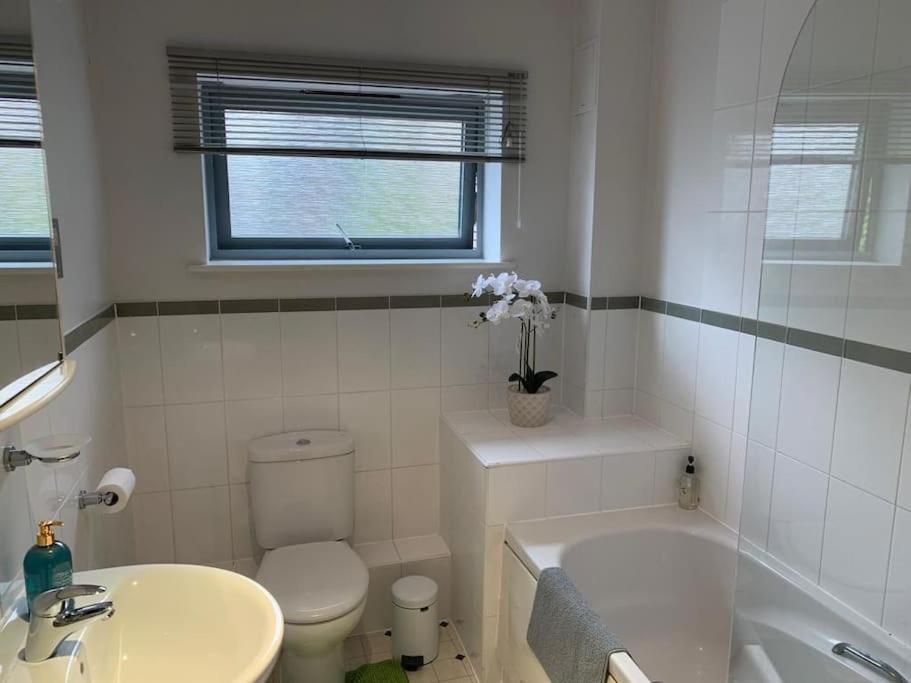 Brownberry Tree Serviced Apartment CBG Dış mekan fotoğraf